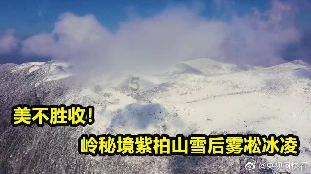 宇宙蜜蜂无敌版